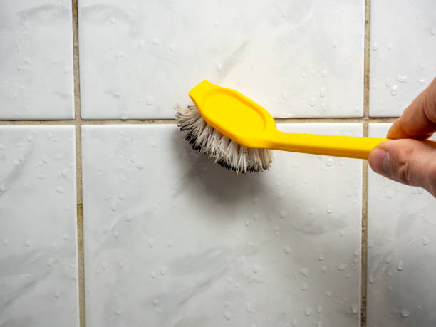 Best Mold Removal Process  in St Rose, LA