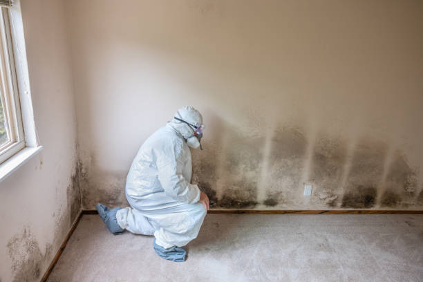 Crawl Space Mold Removal in St Rose, LA